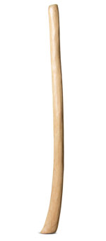 Medium Size Natural Finish Didgeridoo (TW1232)